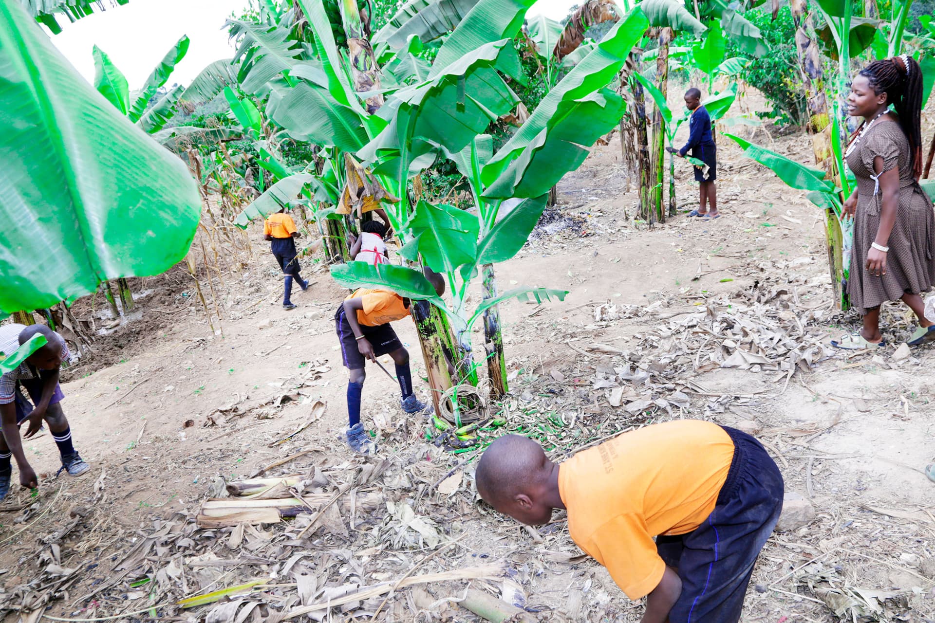 Music and dance practice